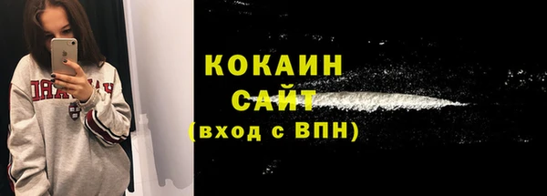 дживик Абинск