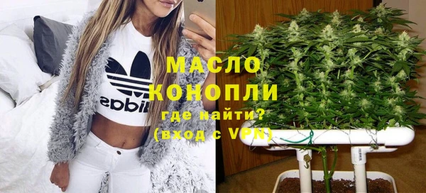 дживик Абинск