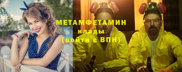 индика Пестово