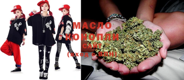 индика Пестово