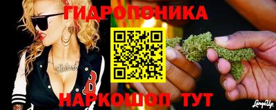 спайс Дубна
