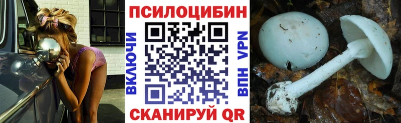 Псилоцибиновые грибы MAGIC MUSHROOMS  МЕГА ТОР  Новоалександровск 
