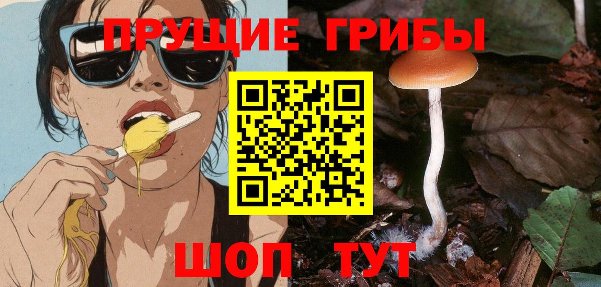 Псилоцибиновые грибы Psilocybe  Псилоцибиновые грибы Psilocybine cubensis  закладки  Новоалександровск  Вход с VPN 