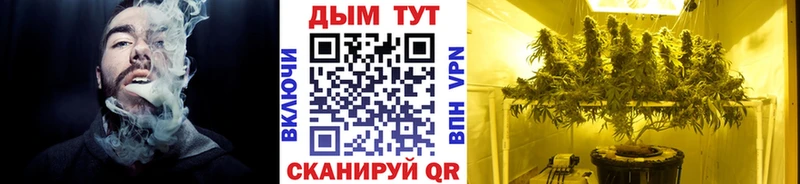 МАРИХУАНА семена kraken ССЫЛКА Новоалександровск